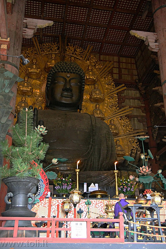 japonija032 Nara. Todaidži šventyklos Buda