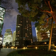 Tokijas. Tarp šiuolaikinių administracinių daugiaaukščių - rūpestingai prižiūrimas senas ąžuolas