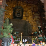 Nara. Todaidži šventyklos Buda