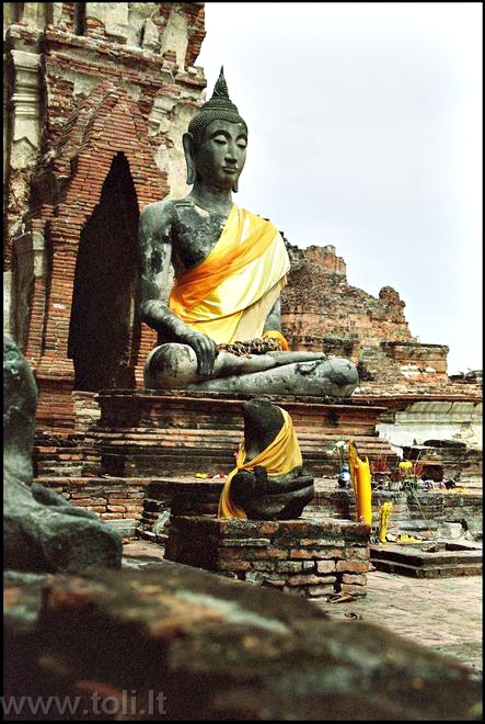 th63AB Senoji Tailando sostinė Ajutaja. Budos figūra Wat Maha That šventyklos griuvėsiuose