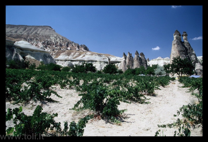 tr04 Vynuogynai Kapadokijoje