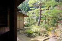 Daitokudžio šventyklos sodas, Kijotas, Japonija