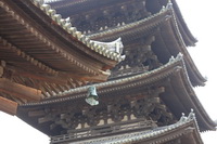 Kofukudžio šventykla, Nara, Japonija
