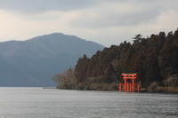 Torii vartai Ašinoko ežere, Fudzijamos nacionalinis parkas, Japonija